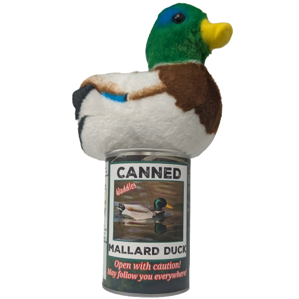 Canned Duck