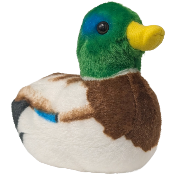Canned Duck